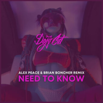 Doja Cat – Need To Know (Alex Peace & Brian Boncher Remix)